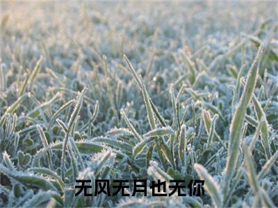姜宁顾洲（无风无月也无你）全文免费阅读无弹窗大结局_姜宁顾洲免费最新章节列表_笔趣阁