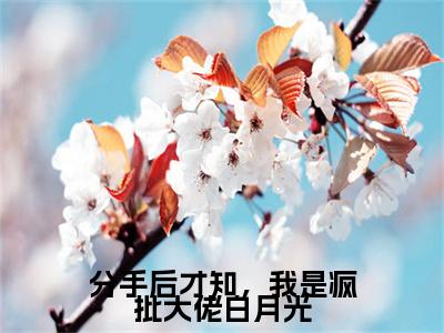 分手后才知，我是疯批大佬白月光（沈清禾贺景麟）全文免费阅读无弹窗完整版，（分手后才知，我是疯批大佬白月光）免费阅读全文最新章节列表_笔趣阁