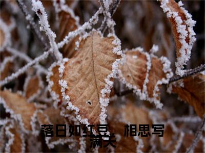 宋锦书（落日如红豆，相思写满天）全文免费阅读_（落日如红豆，相思写满天）宋锦书最新章节列表_笔趣阁