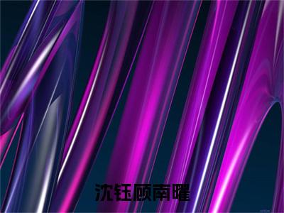 沈钰顾南曜（沈钰顾南曜）全文免费阅读大结局_沈钰顾南曜免费在线阅读无删减
