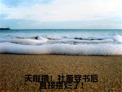 天啦撸！社畜穿书后直接摆烂了！全网首发最新小说，主角司念肖倾宇全文在线免费阅读