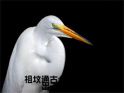 祖坟通古今，灾年养出千古一帝是什么小说-（姜桃）祖坟通古今，灾年养出千古一帝无弹窗免费阅读大结局最新章节列表_笔趣阁