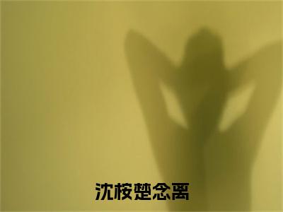 沈桉楚念离小说沈桉楚念离完整版大结局-沈桉楚念离小说完结版在线阅读