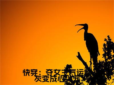 林玖儿时景辰（快穿：夺女主气运炮灰变成心尖宠）全文免费阅读-（林玖儿时景辰）快穿：夺女主气运炮灰变成心尖宠最新章节小说阅读-笔趣阁