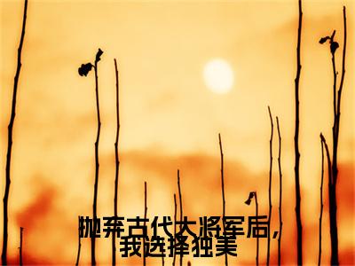 抛弃古代大将军后，我选择独美（林暖暖）笔趣阁免费小说_抛弃古代大将军后，我选择独美笔趣阁全文阅读
