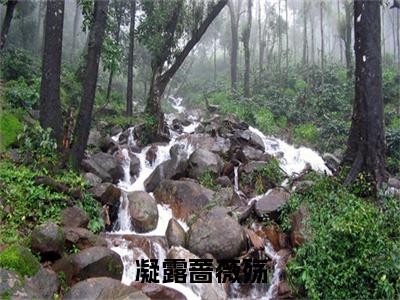 宋蔷薇苏奕（凝露蔷薇殇）全文免费阅读无弹窗大结局_凝露蔷薇殇完整版小说阅读（宋蔷薇苏奕）