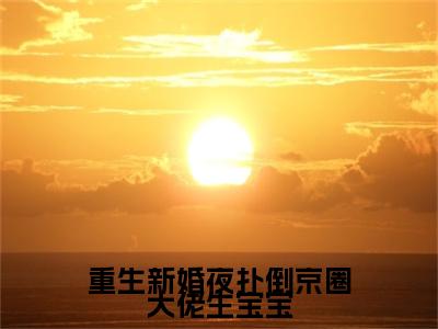 沈珍珍凤西诀全文免费（重生新婚夜扑倒京圈大佬生宝宝）全文免费阅读无弹窗大结局_（沈珍珍凤西诀全文免费）