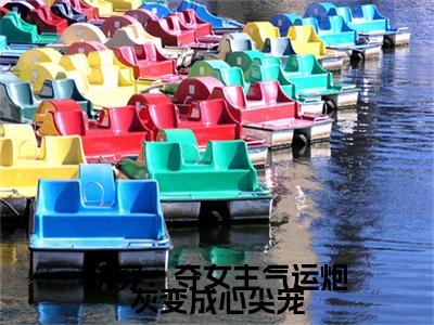 林玖儿时景辰全文免费阅读大结局_快穿：夺女主气运炮灰变成心尖宠已完结全集林玖儿时景辰大结局小说