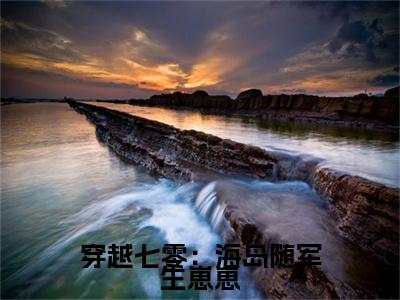 穿越七零：海岛随军生崽崽小说全文免费阅读（安芷夏）全文免费阅读无弹窗_安芷夏小说全文免费阅读