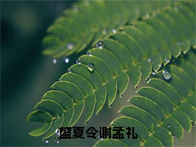 盛夏令谢孟礼（盛夏令谢孟礼）在线阅读-盛夏令谢孟礼小说盛夏令谢孟礼完整版免费阅读