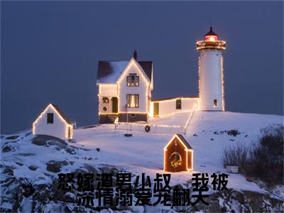 热文（怒嫁渣男小叔，我被深情溺爱宠翻天）美文阅读_热门小说怒嫁渣男小叔，我被深情溺爱宠翻天主人公是（秦语顾铭晏）完整版最新小说大结局_笔趣阁