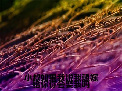小叔如果我说我想嫁给你你会娶我吗全文（林予眠傅时礼小说）全文免费阅读无弹窗大结局_小叔如果我说我想嫁给你你会娶我吗免费最新章节列表_笔趣阁（林予眠傅时礼小说）
