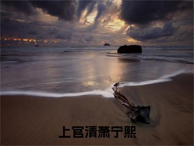 上官清萧宁熙是什么小说-（萧宁熙上官清）上官清萧宁熙无弹窗免费阅读大结局最新章节列表_笔趣阁