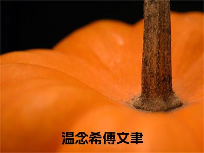 温念希傅文聿（温念希傅文聿）全文免费阅读无弹窗大结局_温念希傅文聿（温念希傅文聿免费阅读）_笔趣阁