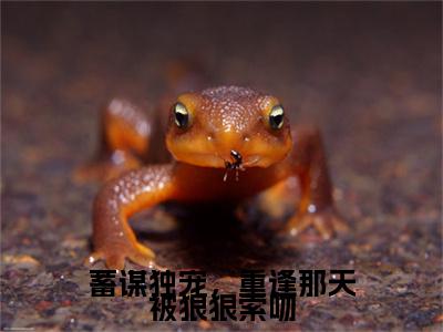 蓄谋独宠，重逢那天被狠狠索吻全文免费阅读无弹窗大结局_许紫贺宴最新章节列表笔趣阁