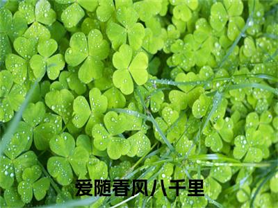 沈南竹（爱随春风八千里）最新章节在线阅读抖音新书热荐爱随春风八千里