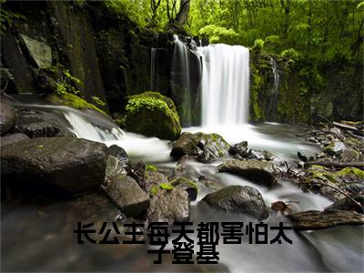 小说《长公主每天都害怕太子登基》全文免费阅读无弹窗-秦潇潇李凌锐小说全文在线赏析_笔趣阁