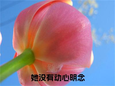 她没有动心明念（季岑明念）最新章节阅读-热点小说榜单推荐季岑明念