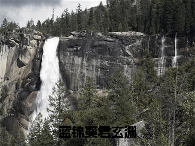 蓝锦葵君玄渊（蓝锦葵君玄渊）全文免费阅读无弹窗大结局_蓝锦葵君玄渊小说在线阅读无删减