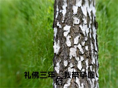 礼佛三年，我带孕回府全文小说（苏绾青裴寂珩）全文阅读-礼佛三年，我带孕回府在线小说免费阅读