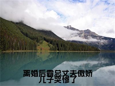 （傅晏城苏锦）热门美文阅读_热门小说离婚后霸总丈夫傲娇儿子哭惨了主人公是（傅晏城苏锦）最新章节限时观看_笔趣阁