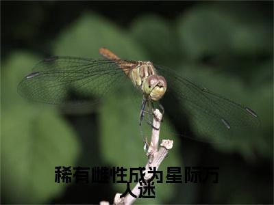 苏眠棠小说（稀有雌性成为星际万人迷）全文免费阅读无弹窗大结局_苏眠棠小说最新章节列表_笔趣阁