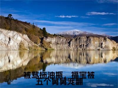 姜浅（被骂拖油瓶，福宝被五个舅舅宠翻）精彩满分小说-强烈推荐被骂拖油瓶，福宝被五个舅舅宠翻（姜浅）小说精彩全文阅读