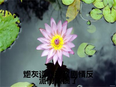 炮灰读心我改剧情反派们崩溃了（唐绵绵）小说免费阅读无弹窗大结局_（唐绵绵阅读无弹窗）最新章节列表