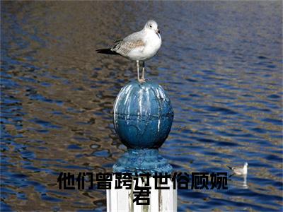 颜泽诚顾婉君小说免费阅读全文（颜泽诚顾婉君）全文免费阅读无弹窗大结局_他们曾跨过世俗顾婉君最新章节列表