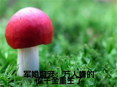 苏雨棠墨祈安军婚盛宠：万人嫌的假千金重生了全文免费完整版，苏雨棠墨祈安最新章节完整版阅读