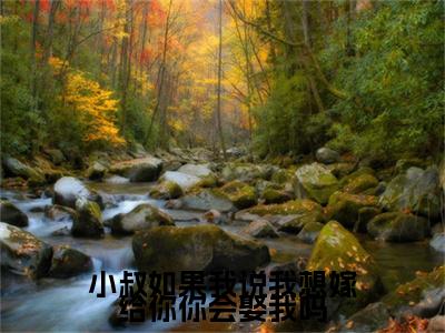 小叔如果我说我想嫁给你你会娶我吗（林予眠傅时礼）全文免费阅读无弹窗大结局_小叔如果我说我想嫁给你你会娶我吗全文阅读_笔趣阁（林予眠傅时礼）