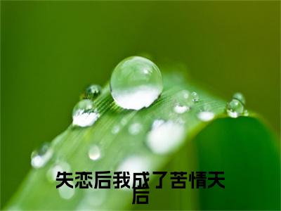 小说顾知渺全文免费阅读无弹窗大结局-失恋后我成了苦情天后在线阅读