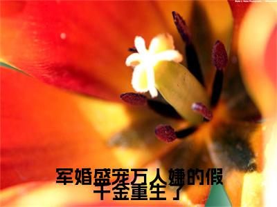 军婚盛宠万人嫌的假千金重生了（苏雨棠墨祈安）全文免费大结局小说-军婚盛宠万人嫌的假千金重生了全文最新章节阅读