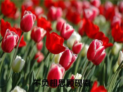 小说不负相思顾砚南（顾砚南）免费阅读-小说不负相思顾砚南全文在线赏析