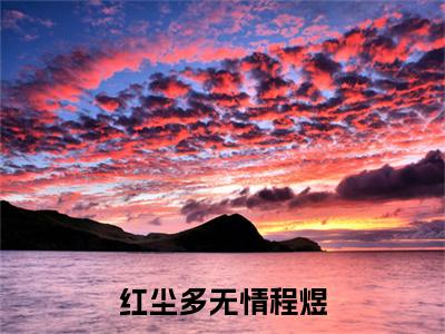 沈沉欢程煜小说免费阅读全文（沈沉欢程煜）全文免费阅读无弹窗大结局_红尘多无情程煜最新章节列表