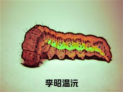 李昭温沅温沅李昭完整全文在线阅读温沅李昭抖音热推小说全集无删减