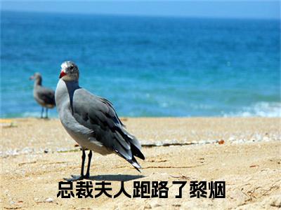 （总裁夫人跑路了黎烟）小说全文免费阅读无弹窗大结局_黎烟总裁夫人跑路了黎烟最新章节列表笔趣阁