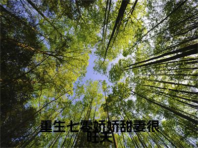 主角为陆珍珍的小说（重生七零娇娇甜妻很旺夫）无弹窗大结局-最新小说重生七零娇娇甜妻很旺夫全文阅读最新章节列表_笔趣阁