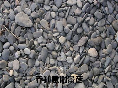 乔知意谢景彦乔知意谢景彦精彩章节-乔知意谢景彦乔知意谢景彦完整版阅读