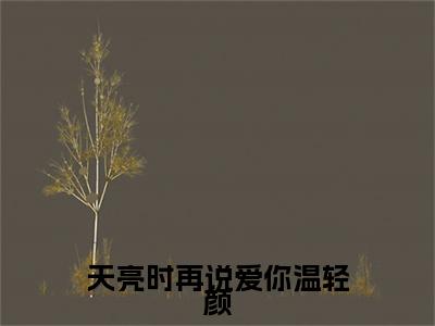 沈遇温轻颜天亮时再说爱你温轻颜小说在哪里可以看天亮时再说爱你温轻颜免费在线阅读