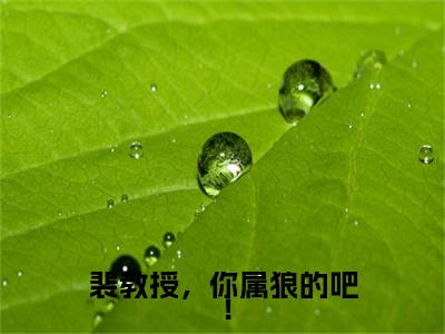 苏晚宁裴宴清是裴教授，你属狼的吧！的小说_主角是苏晚宁裴宴清免费阅读_苏晚宁裴宴清小说免费阅读-笔趣阁