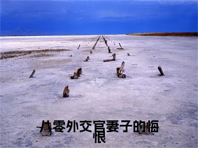 八零外交官妻子的悔恨（闻哲远）全文完整版免费阅读_八零外交官妻子的悔恨最新章节列表_笔趣阁（闻哲远）
