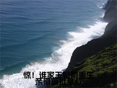 惊！谁家王妃刚重生亲懵疯批皇叔全文免费阅读无弹窗-（安云汐在线阅读）惊！谁家王妃刚重生亲懵疯批皇叔最新章节列表笔趣阁
