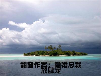 乔以乐（翻窗作案：隐婚总裁放肆宠小说）全文免费阅读无弹窗大结局_翻窗作案：隐婚总裁放肆宠小说最新章节列表_笔趣阁（乔以乐）