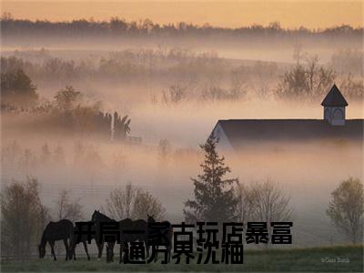 开局一家古玩店暴富通万界沈柚（沈柚）全文免费阅读无弹窗大结局_（开局一家古玩店暴富通万界沈柚免费阅读）沈柚无弹窗最新章节列表