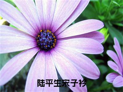 陆平生宋子衿（宋子衿陆平生）全文免费阅读无弹窗-宋子衿陆平生小说完整版在线阅读