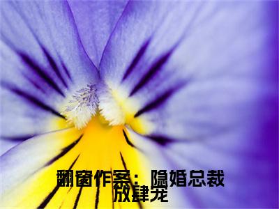 翻窗作案：隐婚总裁放肆宠（乔以乐）小说免费阅读完结版-翻窗作案：隐婚总裁放肆宠小说全文免费阅读（乔以乐后续+全集）