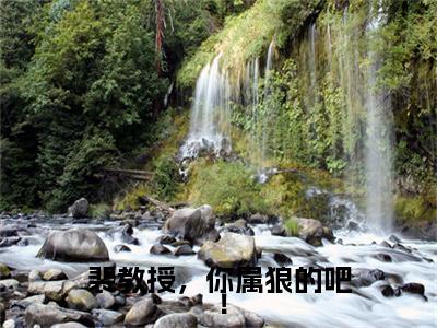 裴教授，你属狼的吧！（苏晚宁裴宴清）完结版小说-裴教授，你属狼的吧！小说全文免费阅读笔趣阁