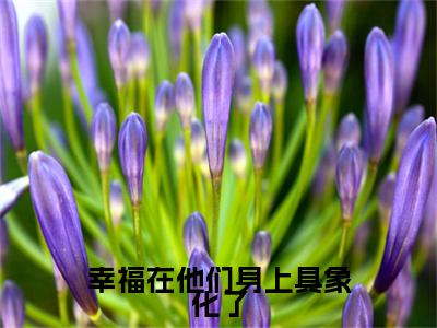 【完整版】（幸福在他们身上具象化了小说沈颢虞倩雅）精彩小说全本资源免费阅读结局无删节_沈颢虞倩雅全章节阅读