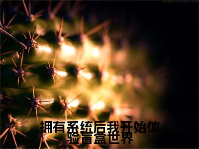《拥有系统后我开始体验盲盒世界》主角是云溪云熙全文免费阅读已完结